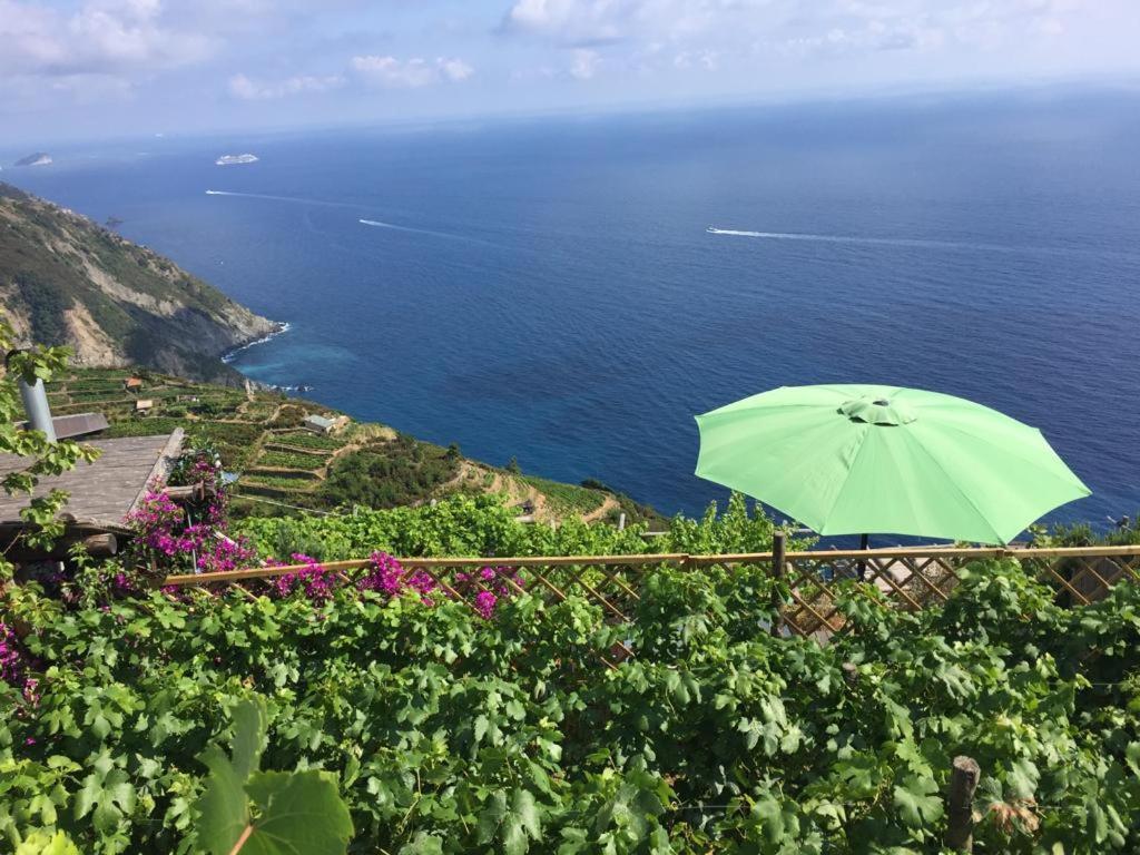 Вилла Refuge Uwabio Organic Vineyard Cinqueterre Риомаджиоре Экстерьер фото