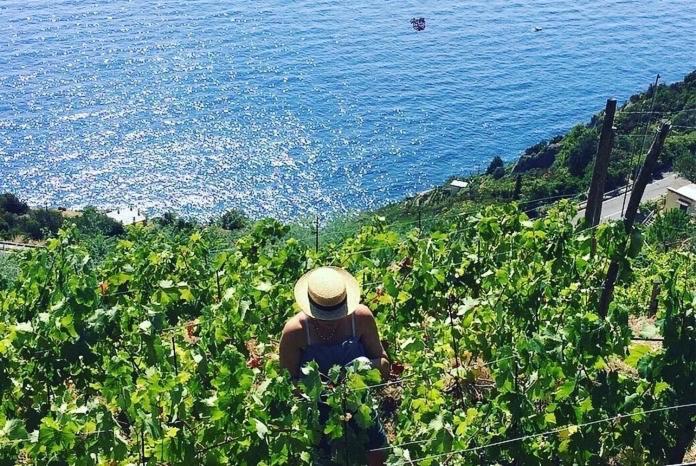 Вилла Refuge Uwabio Organic Vineyard Cinqueterre Риомаджиоре Экстерьер фото